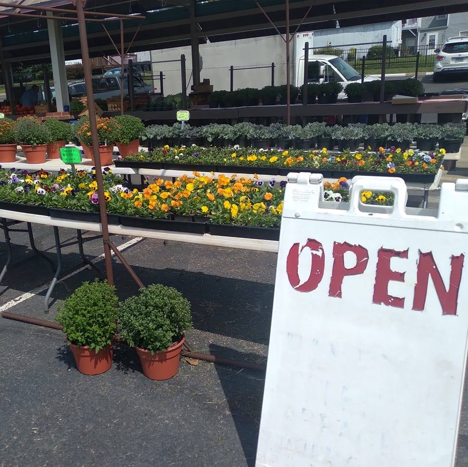 Rueda Plants and Produce