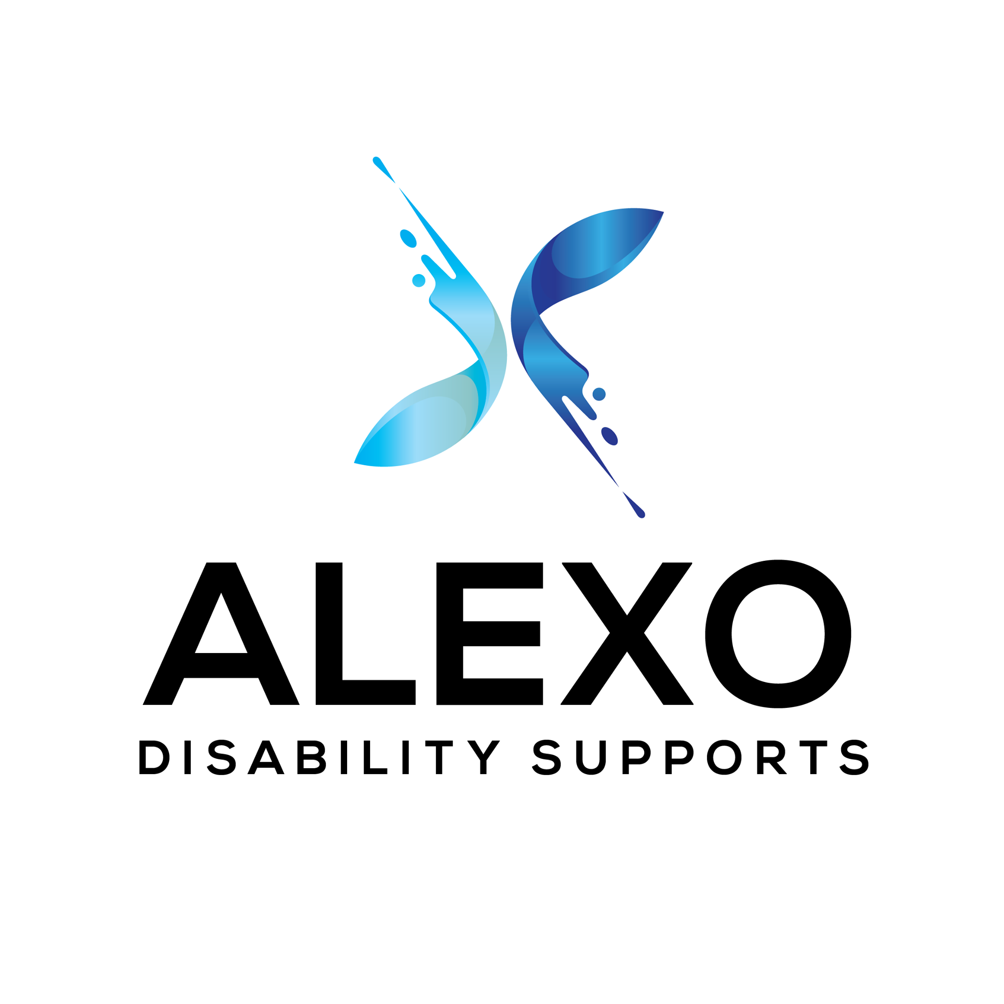 Alexo Disability Supports