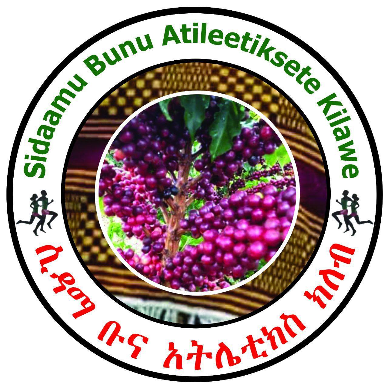 hluf-yihdego