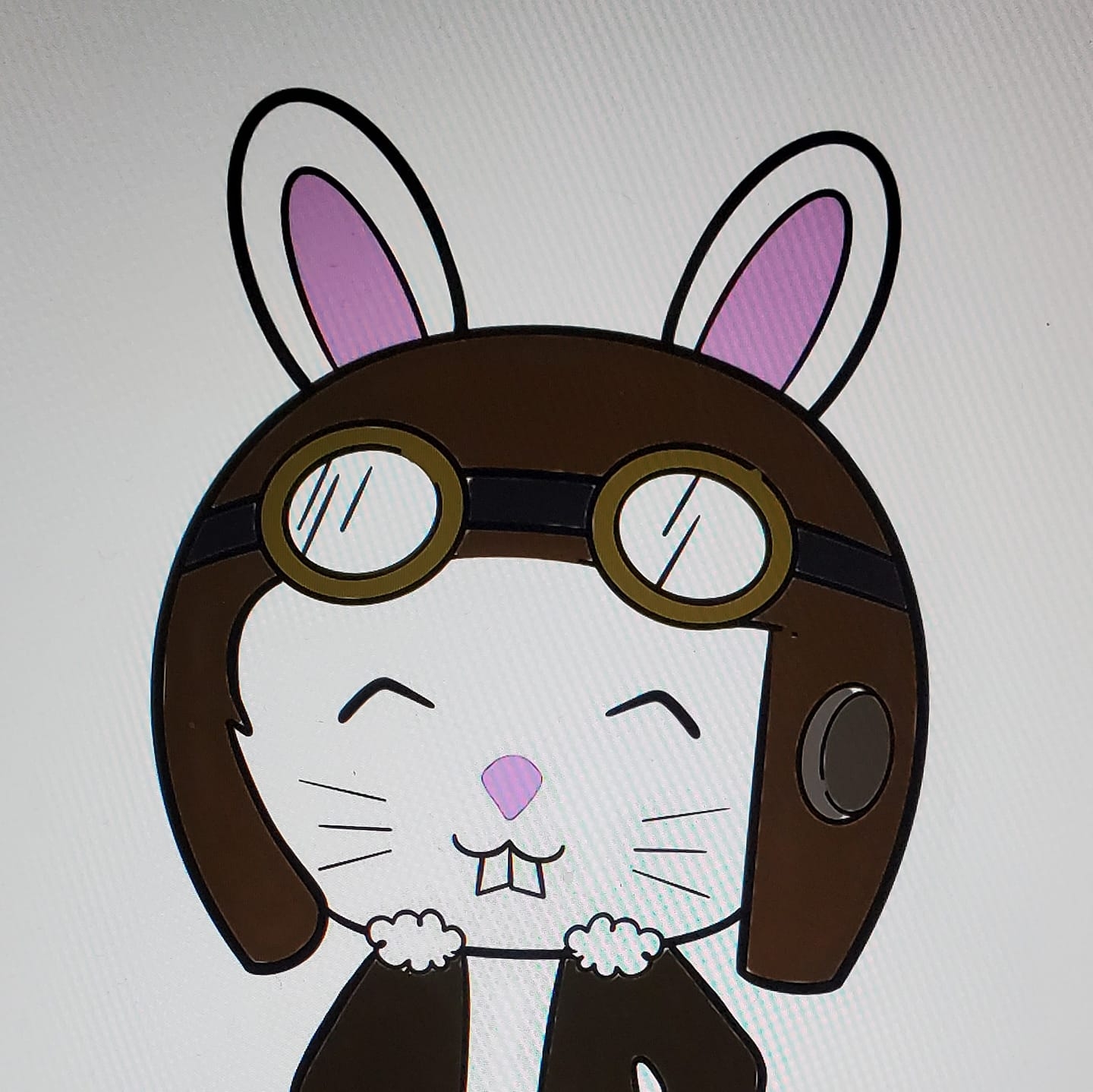 Sky Rabbit Aviation