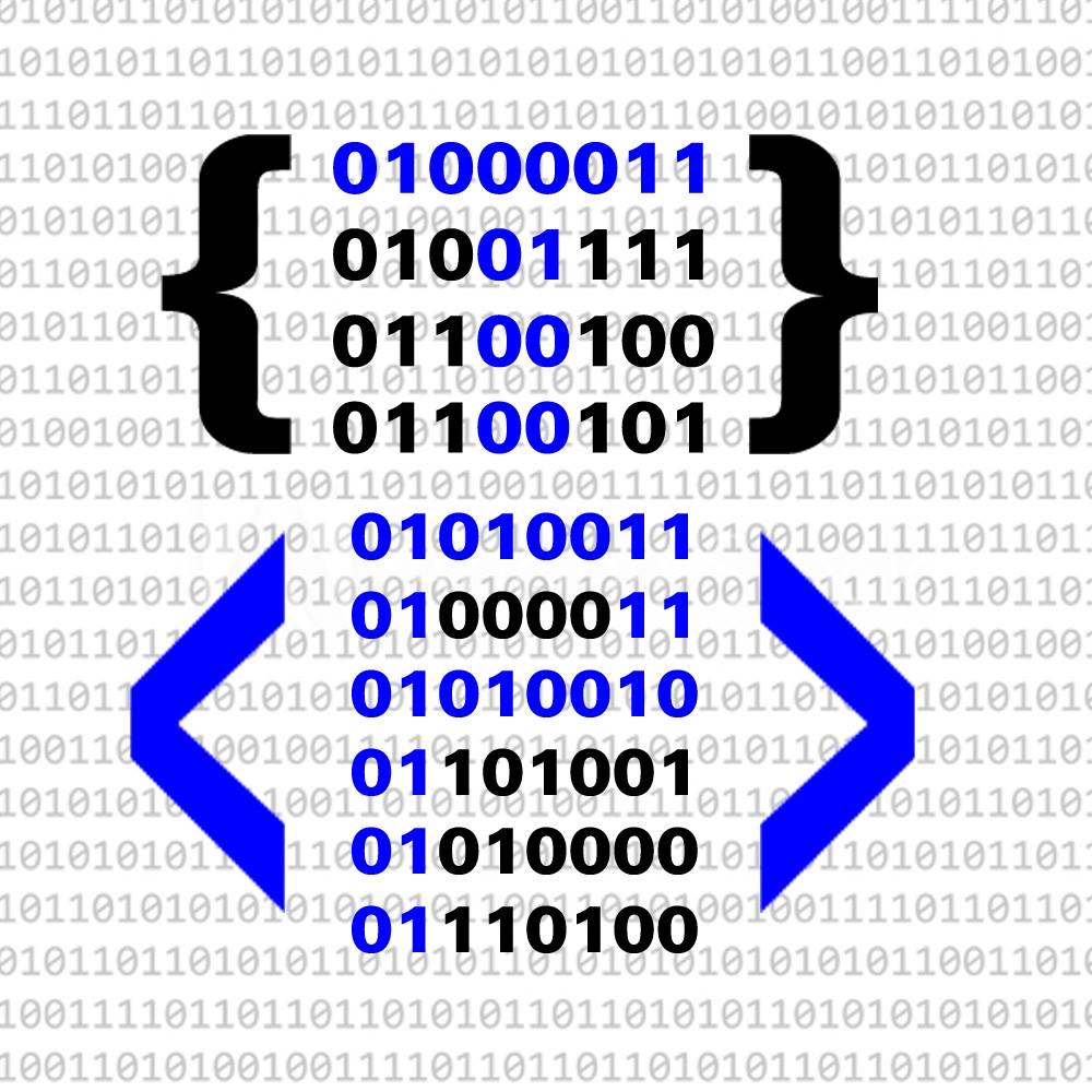 Code & Script TPO