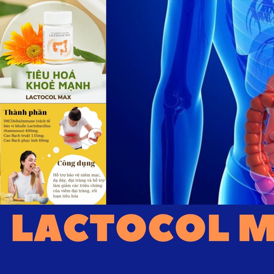 Đại Tràng-lactocol max | Hanoi