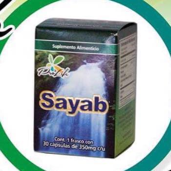Sayab Pachuca