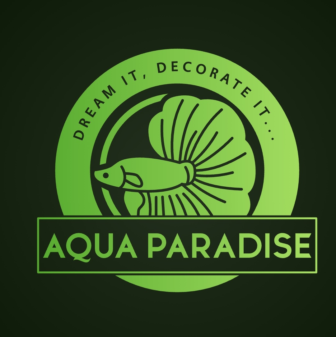 Black balloon Molly available…..😍 📍Aqua paradise-Puducherry 📞For ...