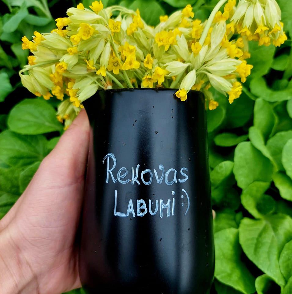 Rekovas Labumi
