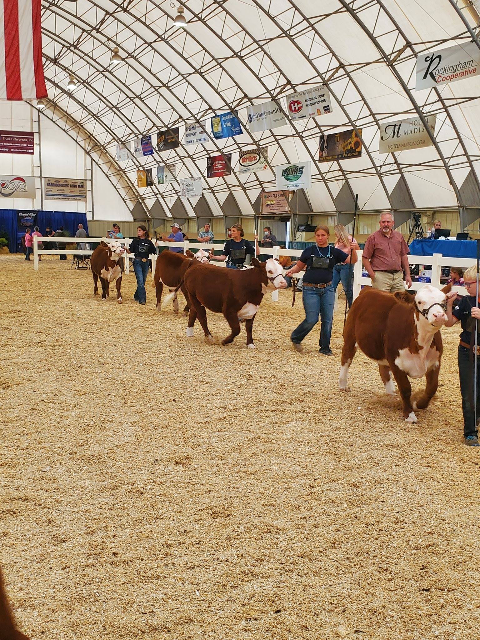 2026 Southeastern Regional Hereford Show