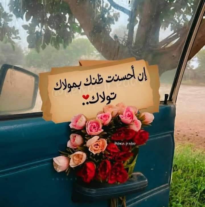 نها علي