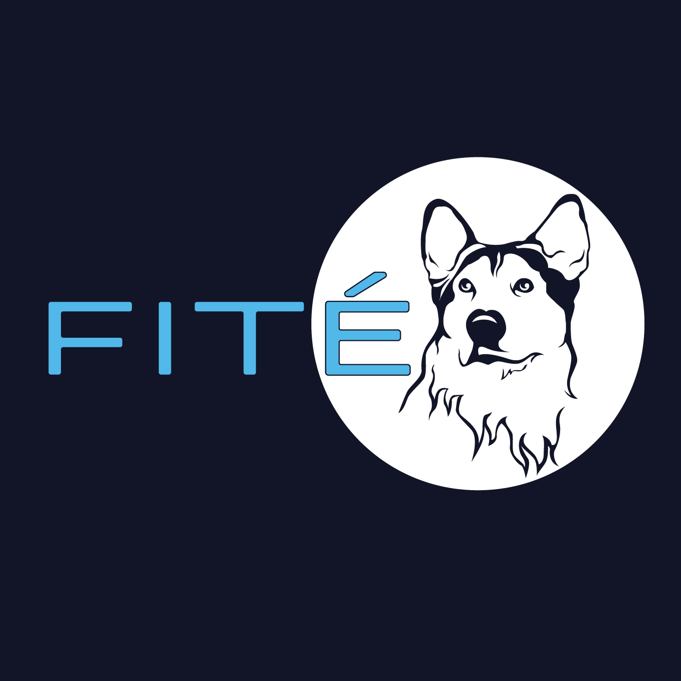 Fité impermeabilizantes | Mexico City