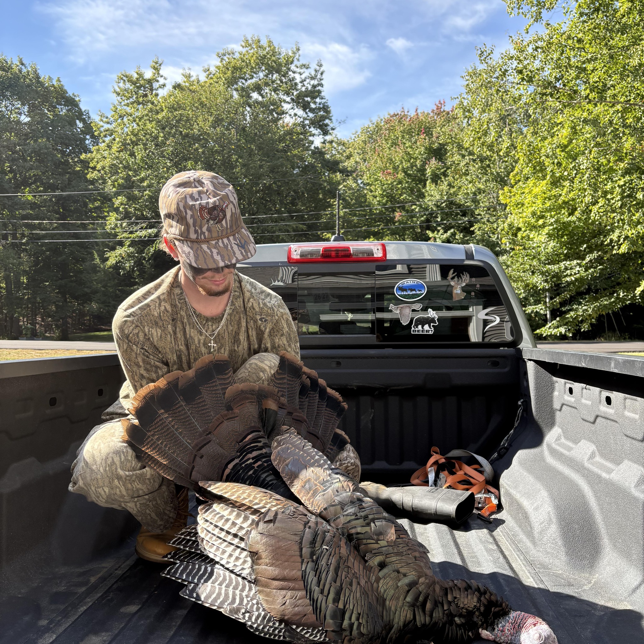 MAINE Wildlife | Peepers, I heard peepers | Facebook