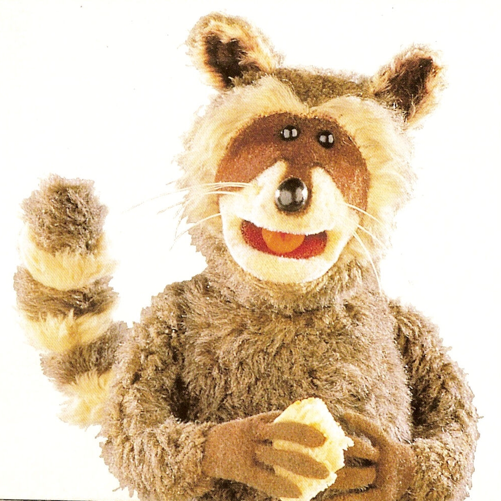 Rhonda the Raccoon