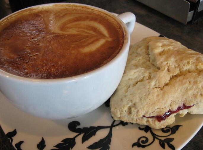 Turtle Coffee Seattle | Seattle WA