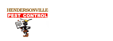 Pest Control Hendersonville Nc