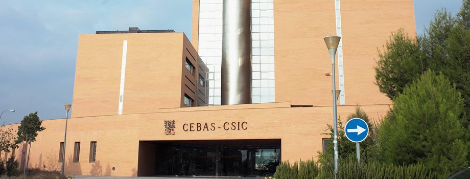 biblioteca-del-centro-de-edafolog-a-y-biolog-a-aplicada-del-segura