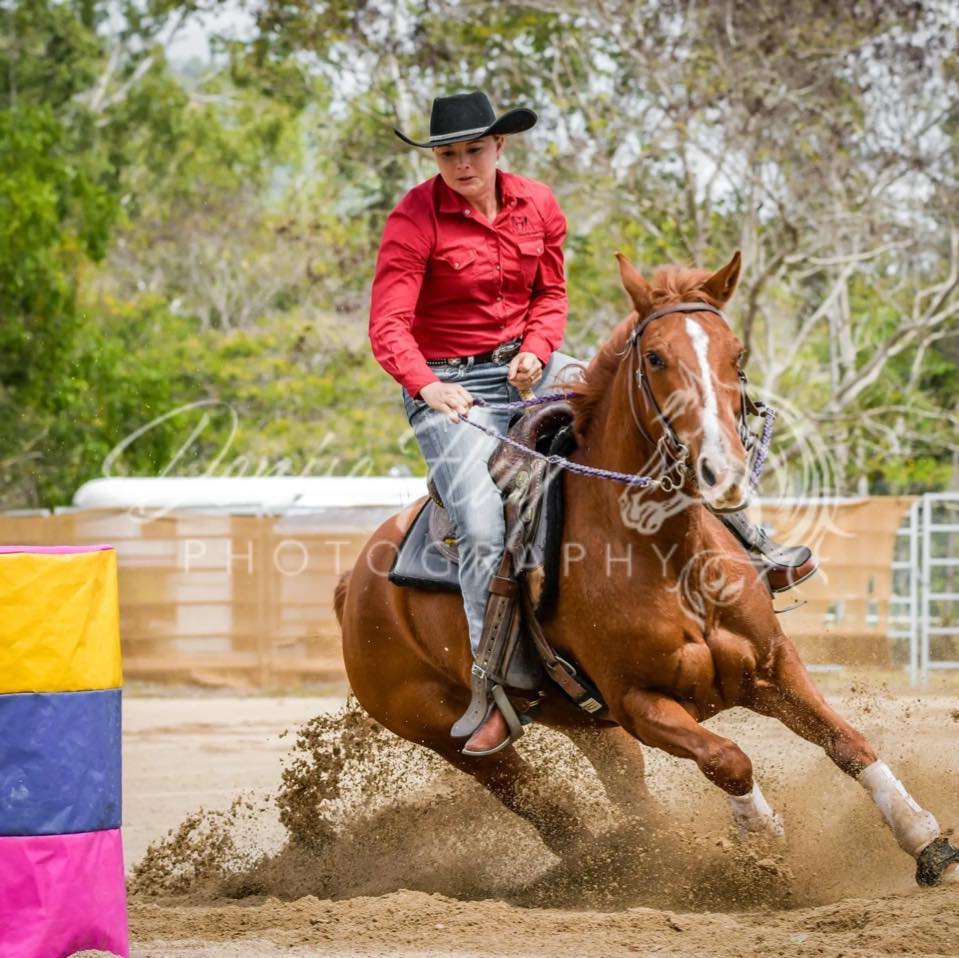 Little Lady Performance Horses | Neerim South VIC