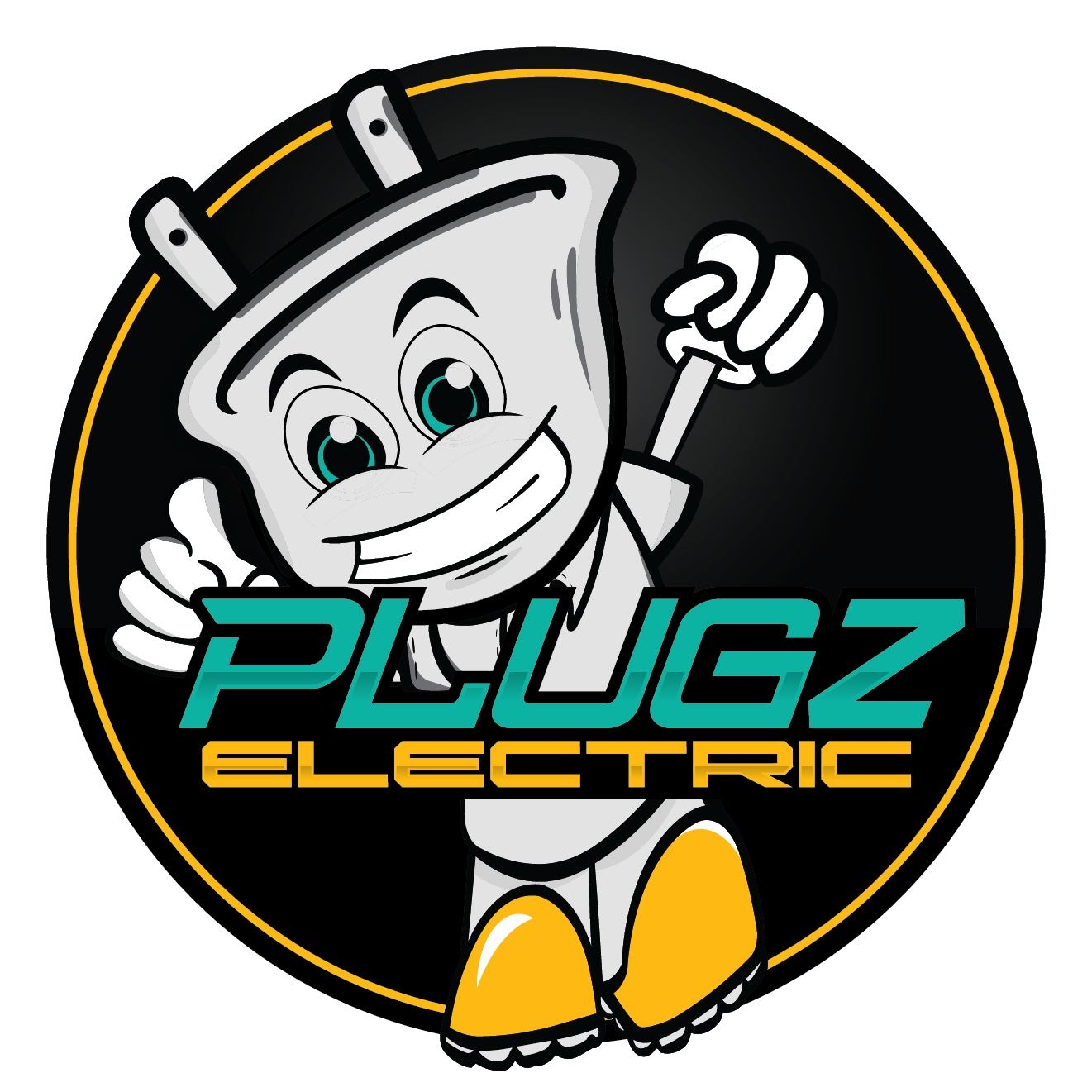 Plugz Electric | Forest Lake MN