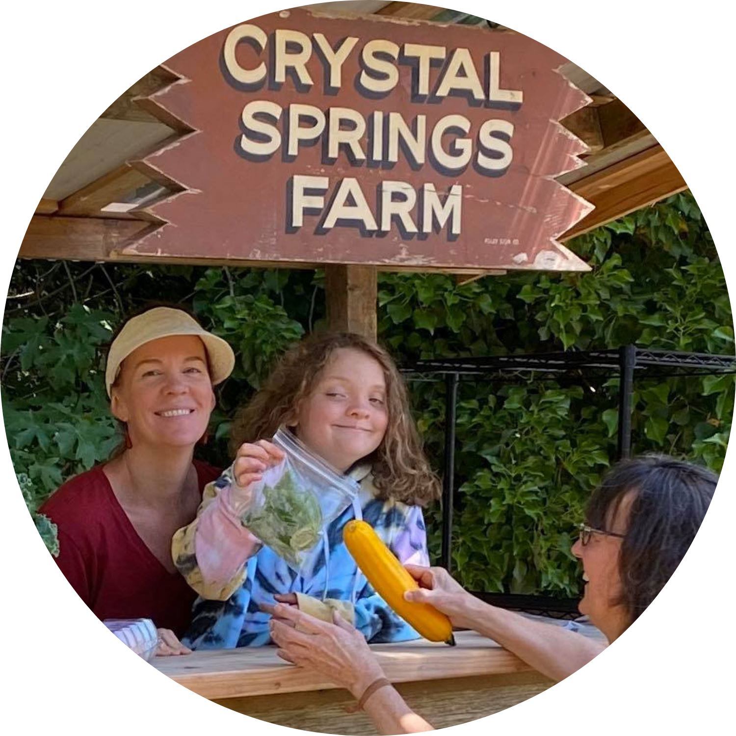 Crystal Springs Farm | La Conner WA