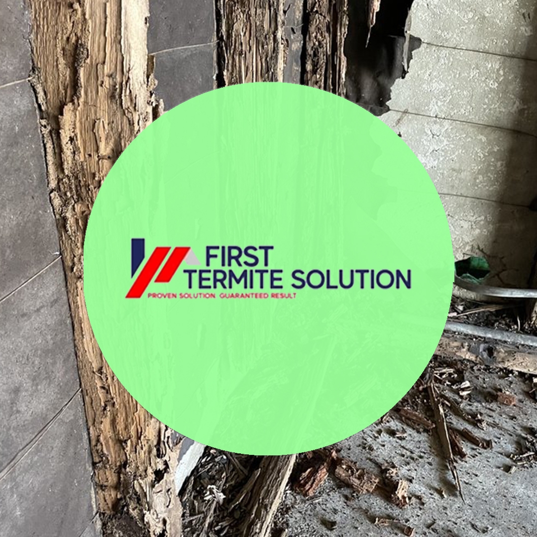First Termite Solution | Santa Clarita CA