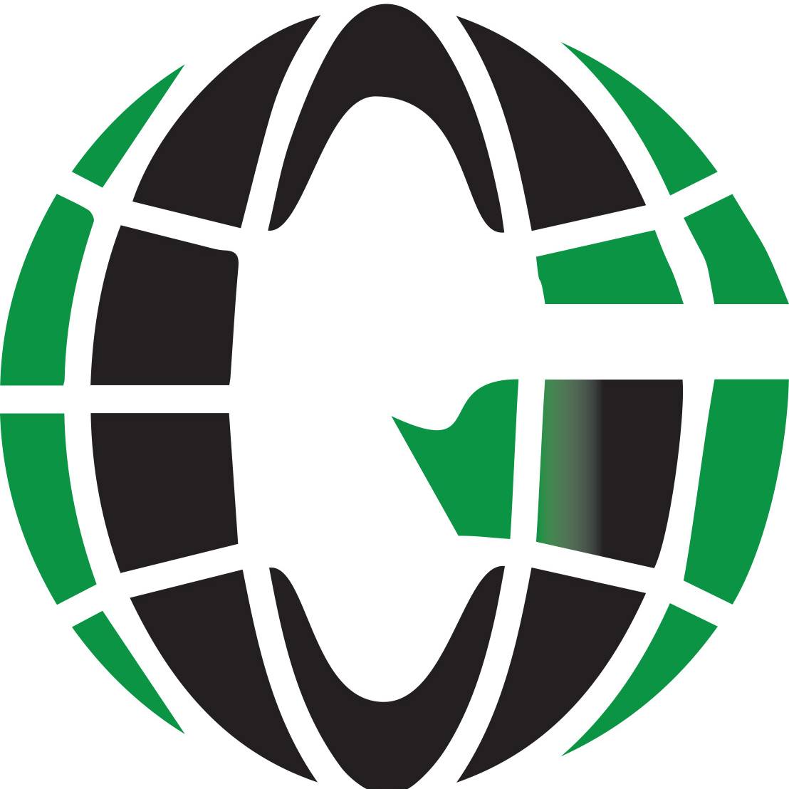 The Global Youth Transformation Initiative, Inc.