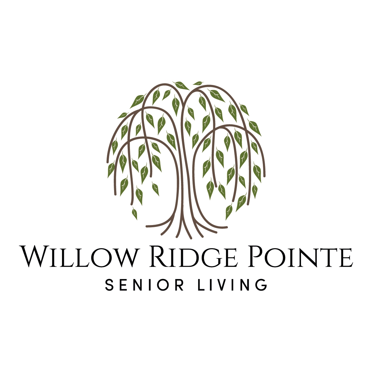 Willow Ridge Pointe | Mechanicville NY