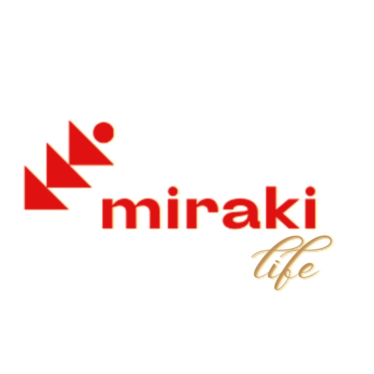 Miraki Life Workspace 5