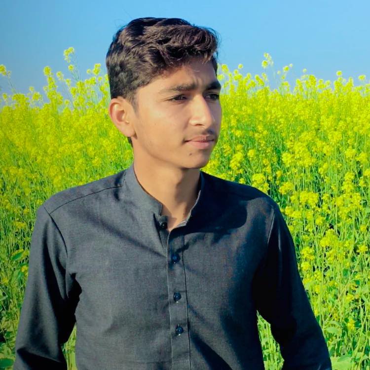 CHAN TV HD official