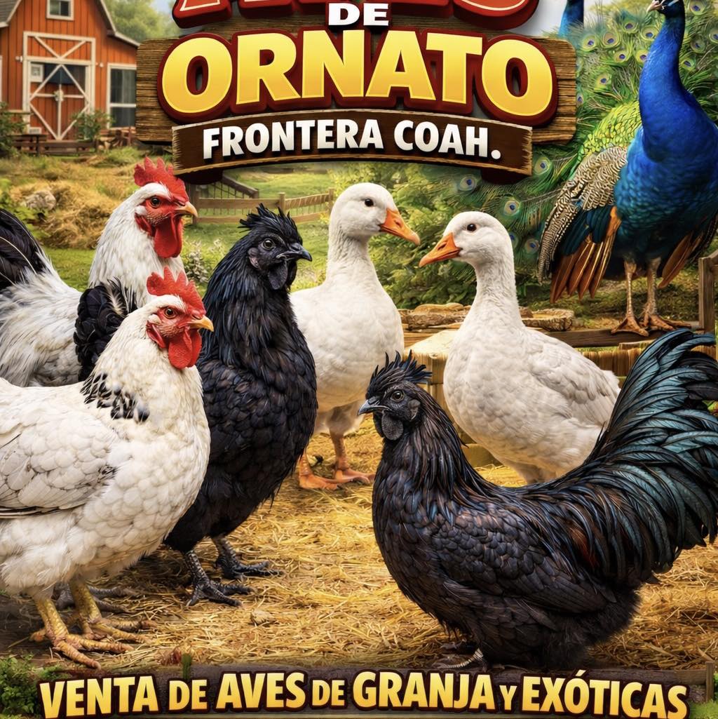 Granja Potranco | San Antonio TX