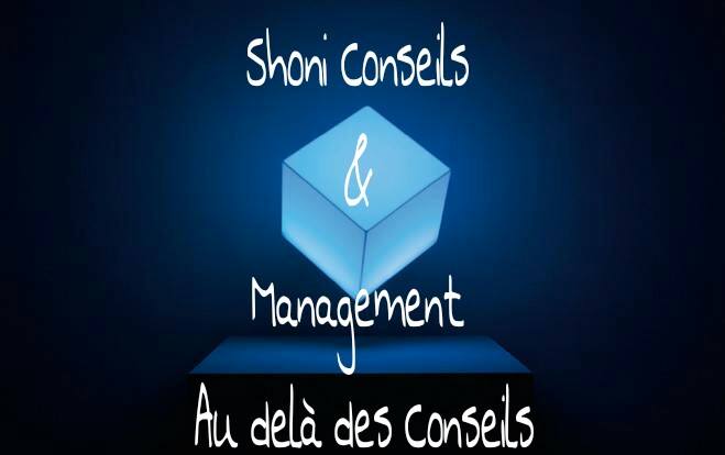 Shoni Conseils & Management : La Performance au Quotidien