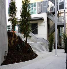 Camino Nuevo High School Miramar | Los Angeles CA
