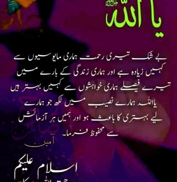 اسلامی کتاب گھر