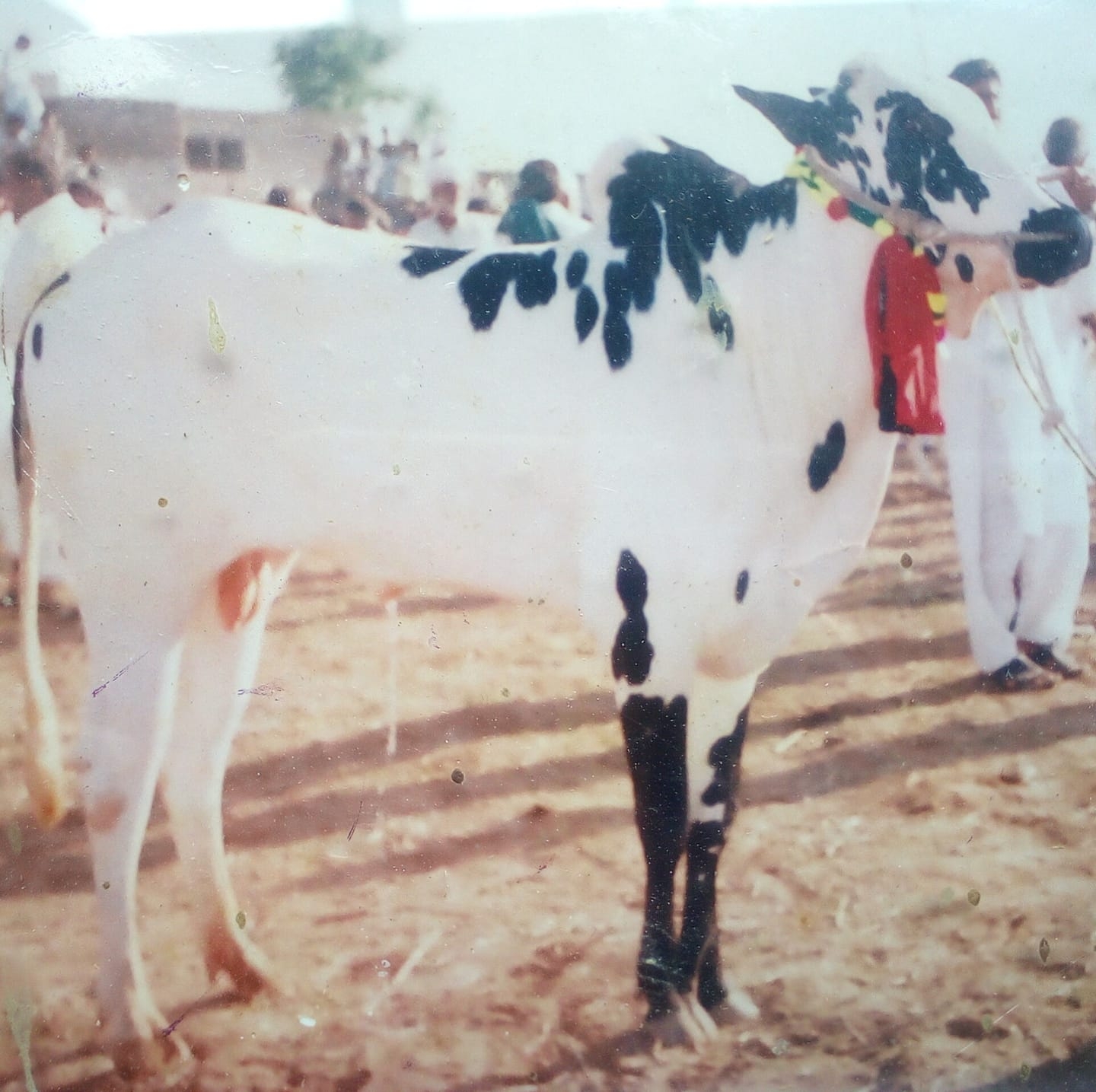 گنگاوالی گروپ نمبر 1