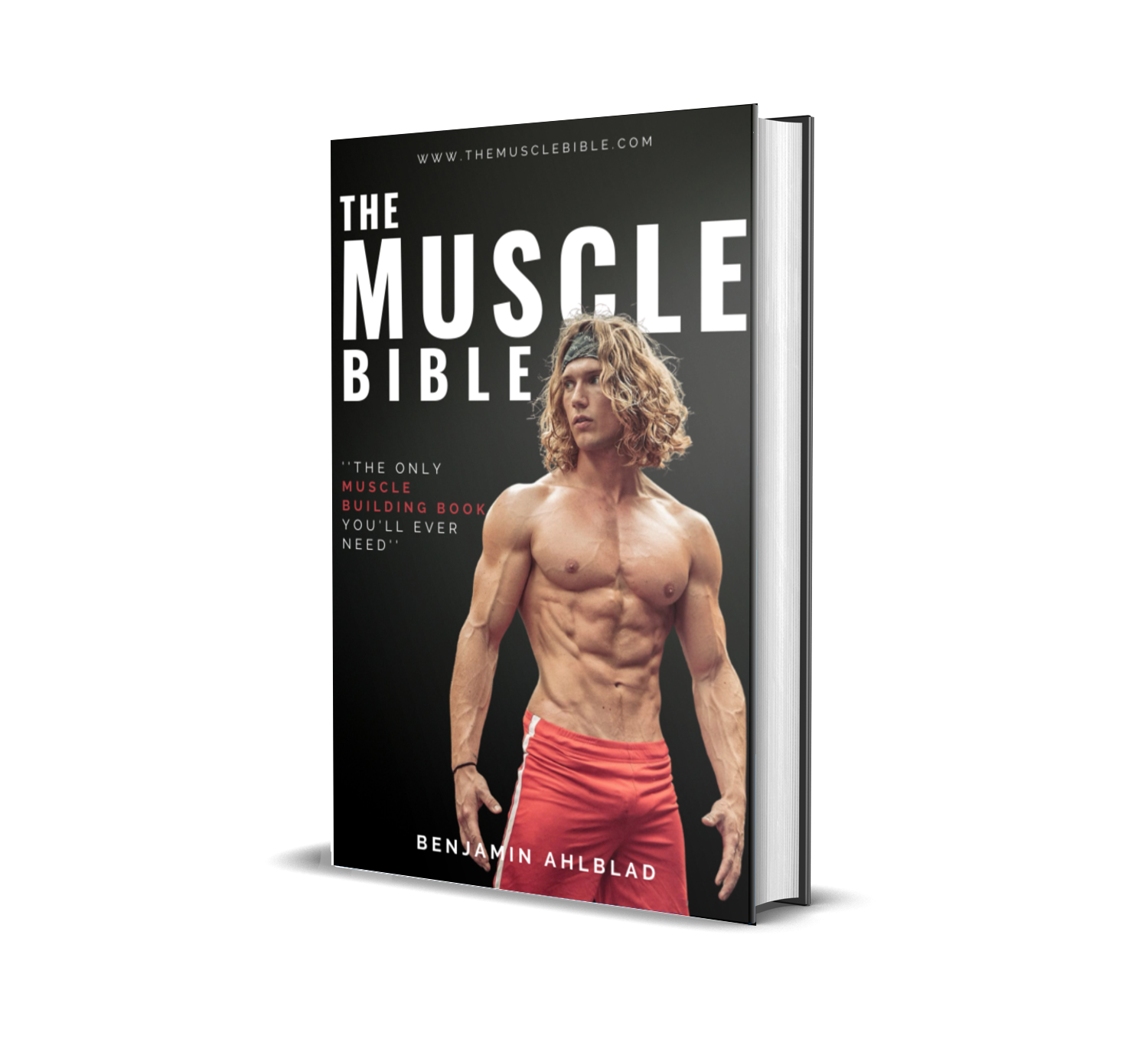 The Muscle Bible