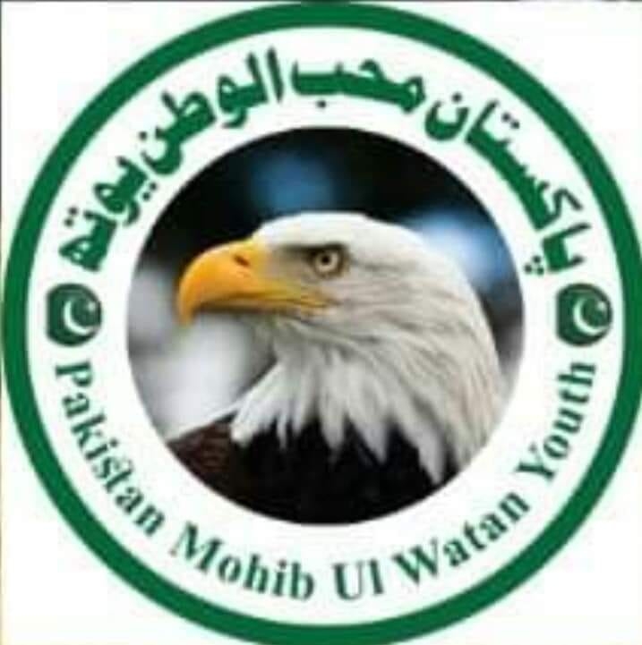 پاکستان محب الوطن یوتھ
