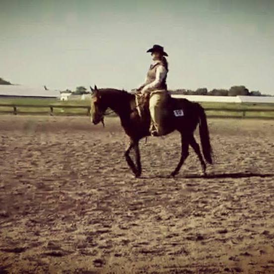 Kaytee Reiners and Performance Horses | Aylett VA