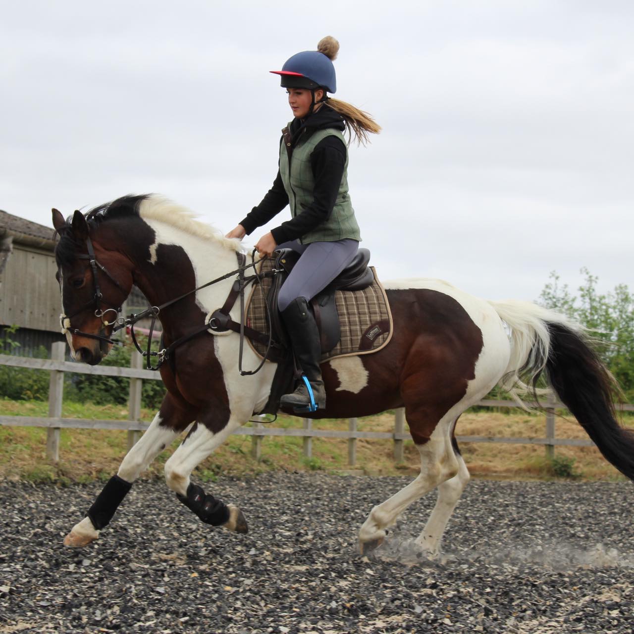 Sienna moy equestrian