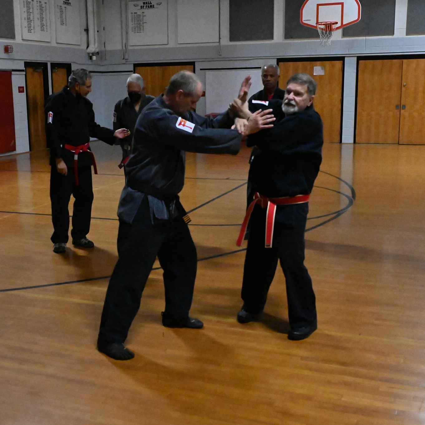 Virtual Dojo - Order of Isshin-Ryu | Lothian MD