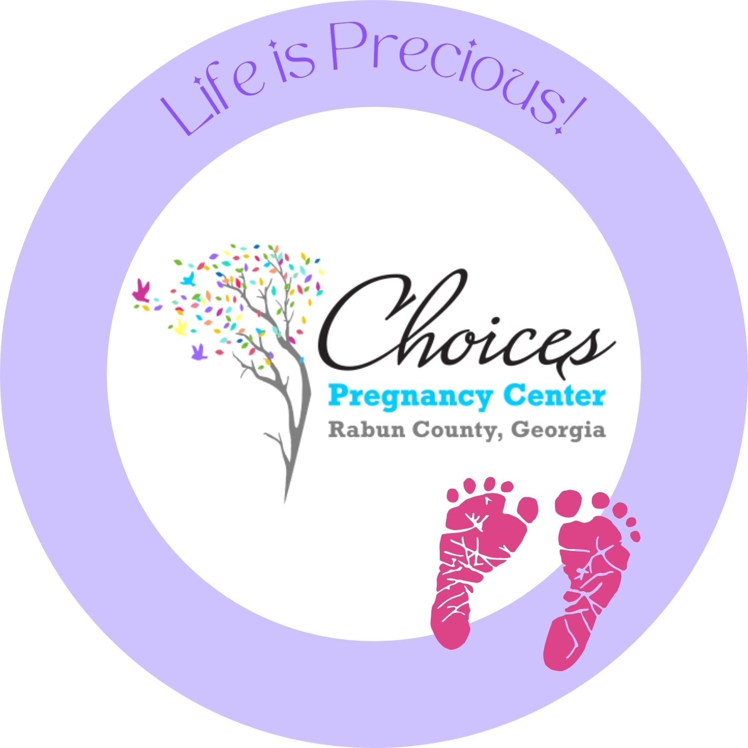 Choices Pregnancy Care Center of Rabun County, GA (@choicescpc 