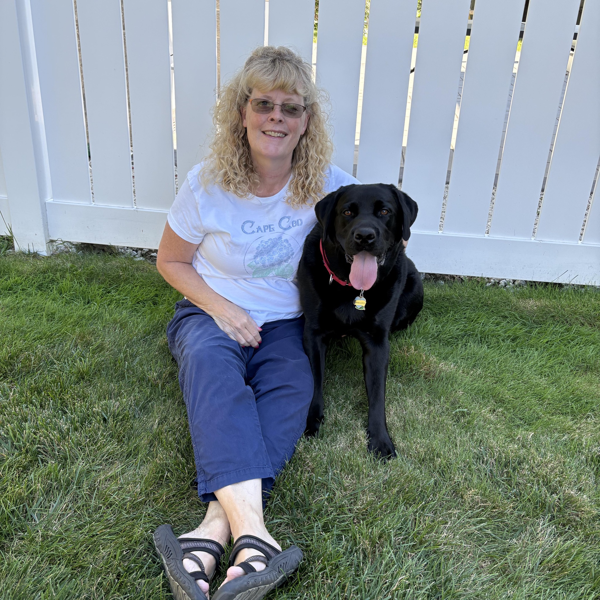 THE HEART OF WESTBOROUGH | Any recommendations for dog training nearby ...