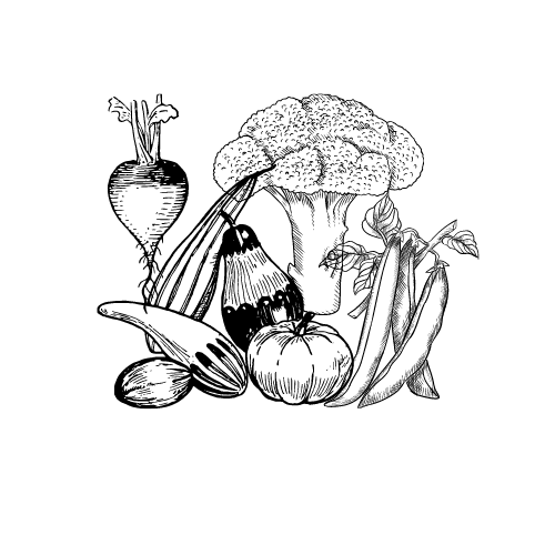 Vegetable Magic
