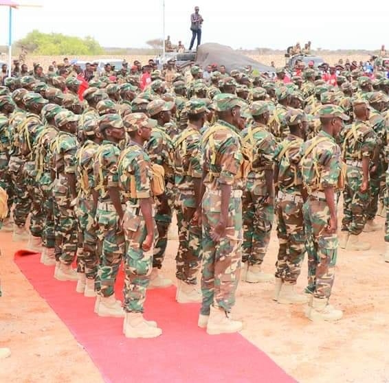 Puntland Commandos DANAB