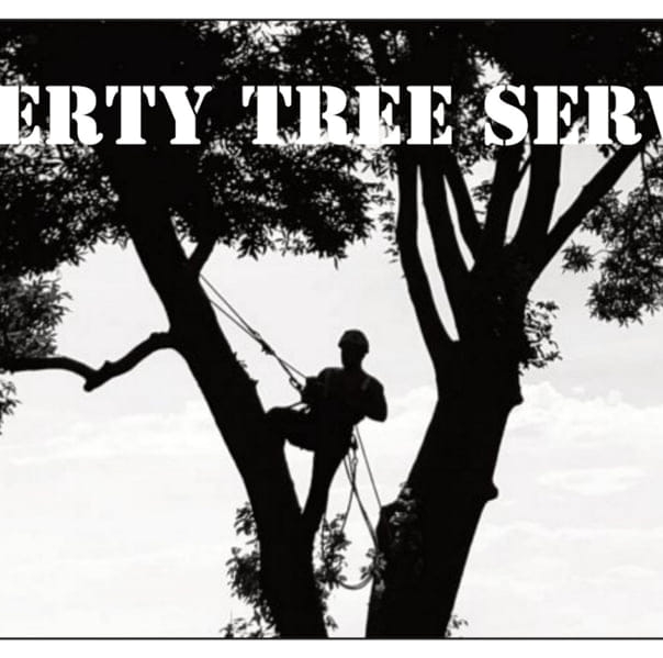Liberty Tree Service | Charles Town WV