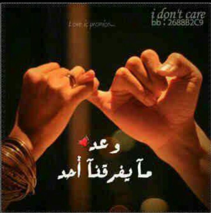 كج او خورطئ ازديا