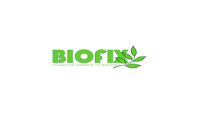 Biofix / LIF UFPR | Curitiba PR