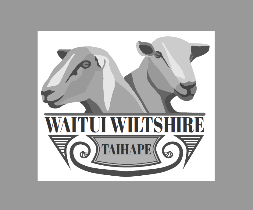 Waitui Wiltshire Taihape | Taihape