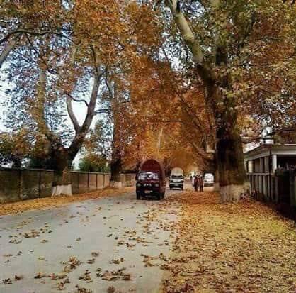 Pyara abbottabad