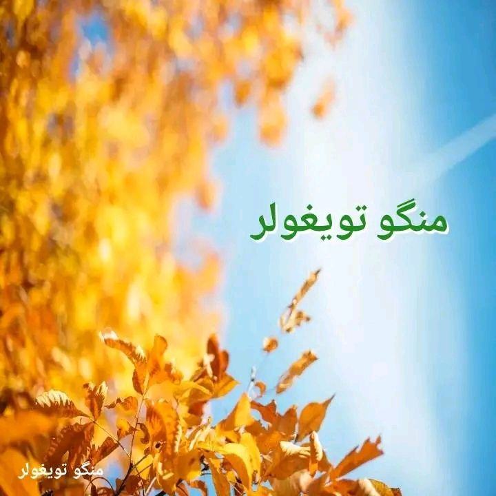 نسل توران اوخلمه...! سینگلیمیز شکیبا وکیلی دن ایشیتینگ. | Mangu tuyg ...