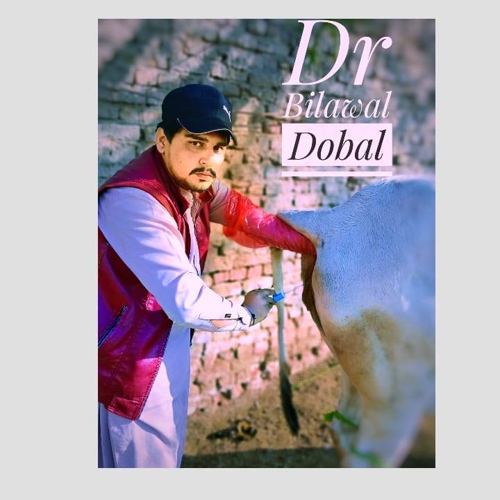 Asadullah veterinary Store Mehrabpur Dr bilawal Dobal | Mehrabpur