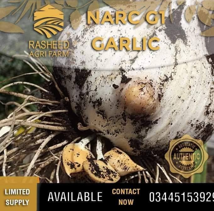 Rasheed AGRI FARMS