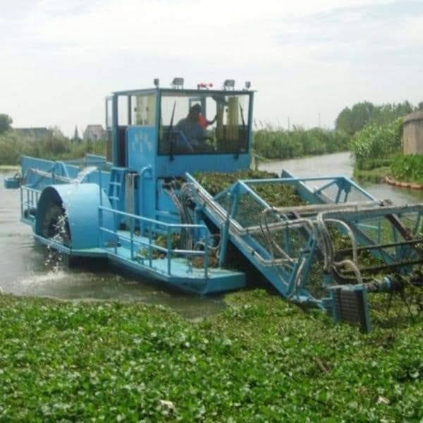 ZIDEX multinational Limited