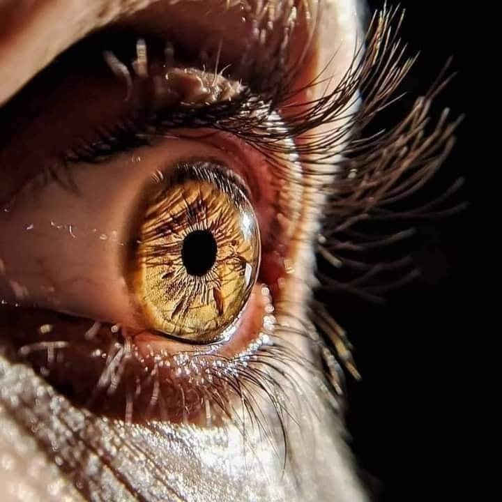 بس خن أگلك