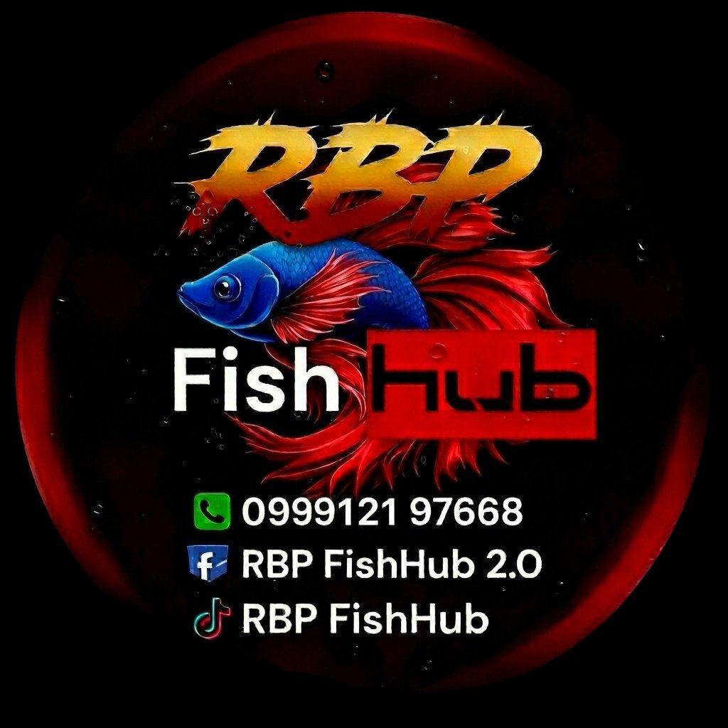 RBP FishHub 2.0 | Concepcion